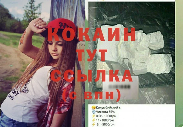 дмт Богданович