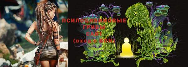 круглые Арсеньев