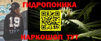 ГАЛЛЮЦИНОГЕННЫЕ ГРИБЫ Гусь-Хрустальный