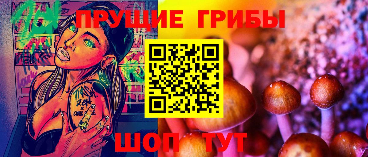 Галлюциногенные грибы Cubensis  Вход с VPN  Галлюциногенные грибы GOLDEN TEACHER  Подольск 