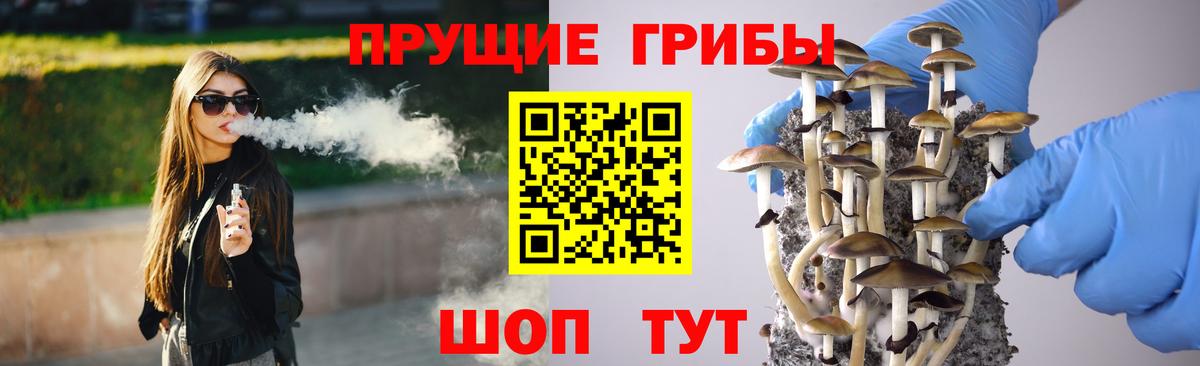 Псилоцибиновые грибы GOLDEN TEACHER Подольск